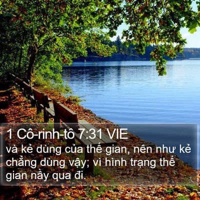 1 Cô-rinh-tô 7:31 VIE Bible Verse Image