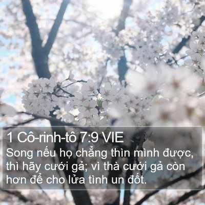 1 Cô-rinh-tô 7:9 VIE Bible Verse Image
