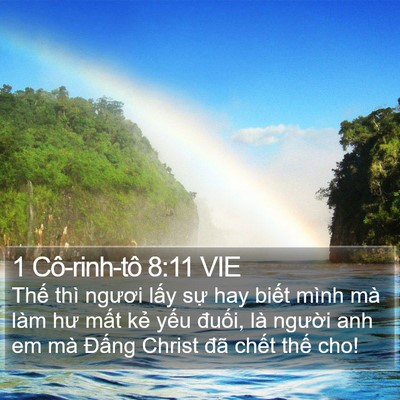 1 Cô-rinh-tô 8:11 VIE Bible Verse Image
