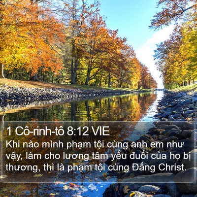 1 Cô-rinh-tô 8:12 VIE Bible Verse Image