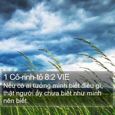 1 Cô-rinh-tô 8:2 VIE Bible Verse Image