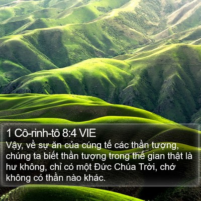 1 Cô-rinh-tô 8:4 VIE Bible Verse Image