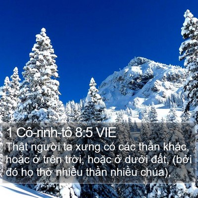 1 Cô-rinh-tô 8:5 VIE Bible Verse Image