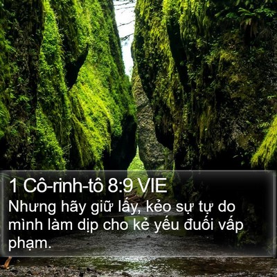 1 Cô-rinh-tô 8:9 VIE Bible Verse Image