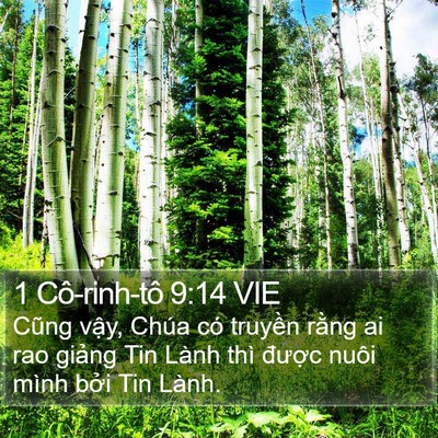 1 Cô-rinh-tô 9:14 VIE Bible Verse Image