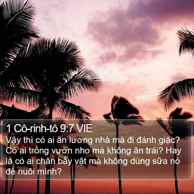 1 Cô-rinh-tô 9:7 VIE Bible Verse Image