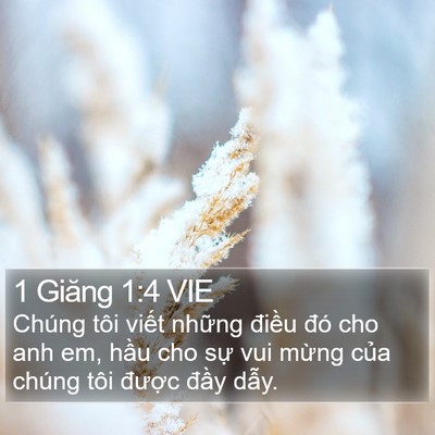 1 Giăng 1:4 VIE Bible Verse Image