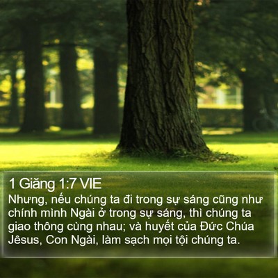 1 Giăng 1:7 VIE Bible Verse Image