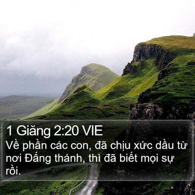 1 Giăng 2:20 VIE Bible Verse Image