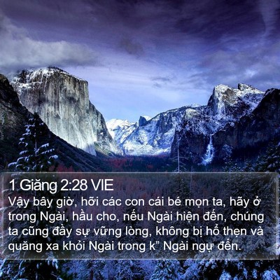 1 Giăng 2:28 VIE Bible Verse Image