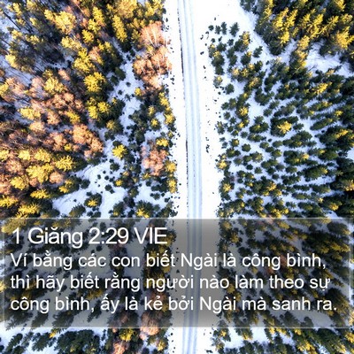 1 Giăng 2:29 VIE Bible Verse Image