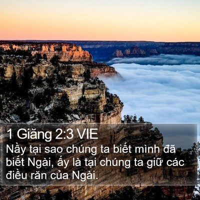 1 Giăng 2:3 VIE Bible Verse Image