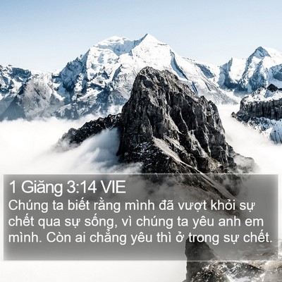 1 Giăng 3:14 VIE Bible Verse Image