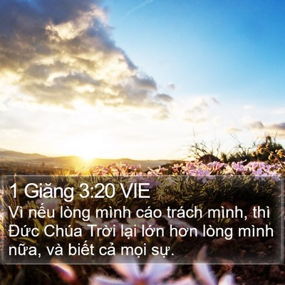 1 Giăng 3:20 VIE Bible Verse Image