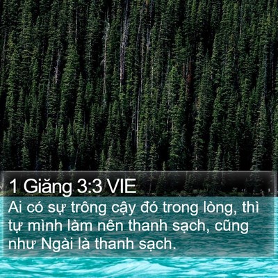 1 Giăng 3:3 VIE Bible Verse Image