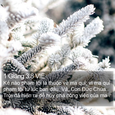 1 Giăng 3:8 VIE Bible Verse Image