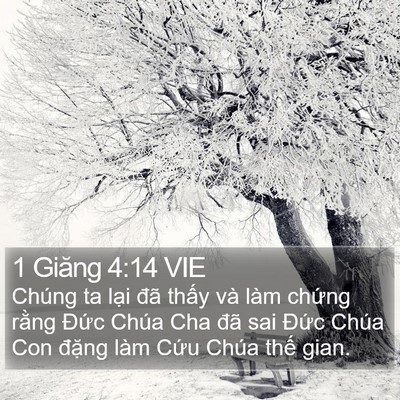 1 Giăng 4:14 VIE Bible Verse Image