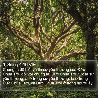 1 Giăng 4:16 VIE Bible Verse Image