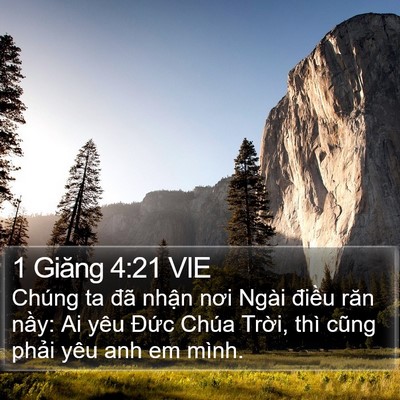 1 Giăng 4:21 VIE Bible Verse Image