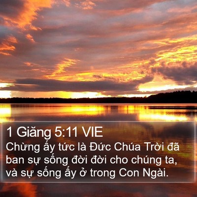 1 Giăng 5:11 VIE Bible Verse Image