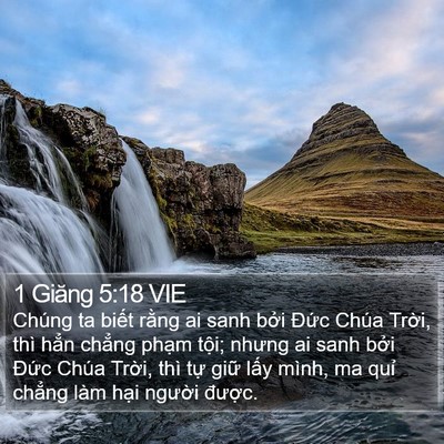 1 Giăng 5:18 VIE Bible Verse Image