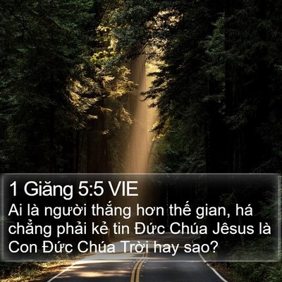 1 Giăng 5:5 VIE Bible Verse Image