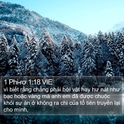 1 Phi-rơ 1:18 VIE Bible Verse Image