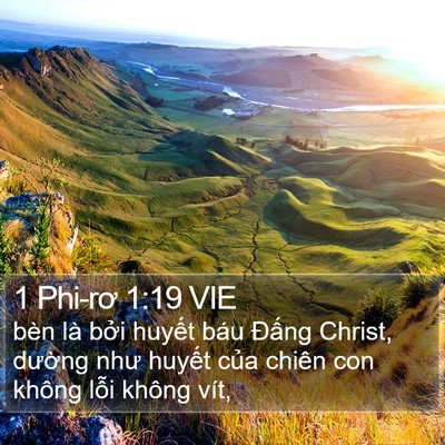 1 Phi-rơ 1:19 VIE Bible Verse Image