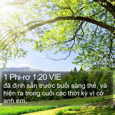 1 Phi-rơ 1:20 VIE Bible Verse Image