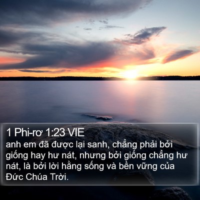 1 Phi-rơ 1:23 VIE Bible Verse Image