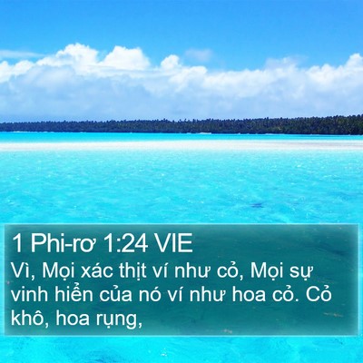 1 Phi-rơ 1:24 VIE Bible Verse Image