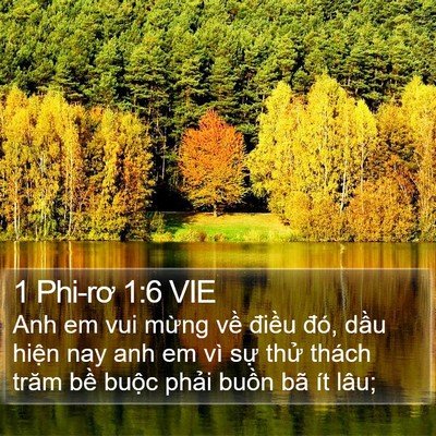 1 Phi-rơ 1:6 VIE Bible Verse Image