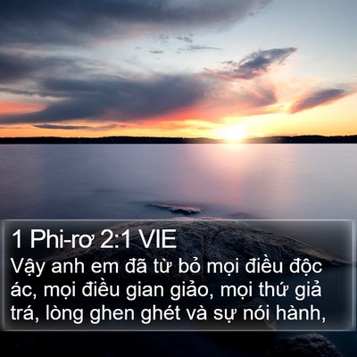 1 Phi-rơ 2:1 VIE Bible Verse Image