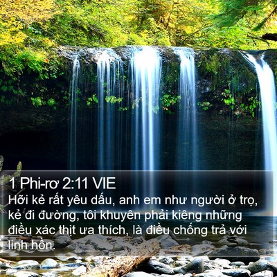 1 Phi-rơ 2:11 VIE Bible Verse Image