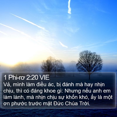 1 Phi-rơ 2:20 VIE Bible Verse Image