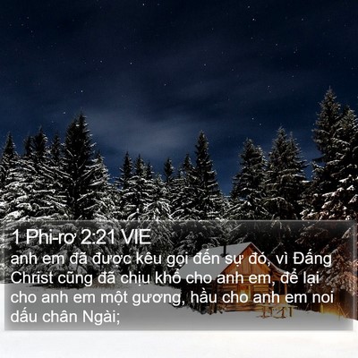 1 Phi-rơ 2:21 VIE Bible Verse Image