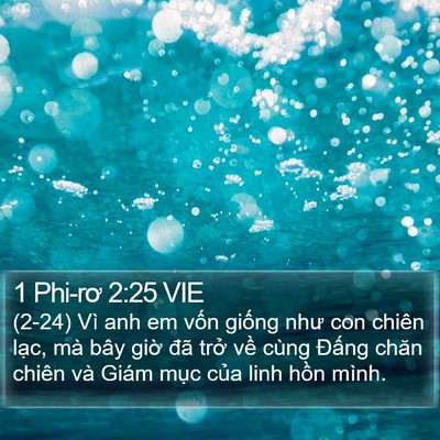 1 Phi-rơ 2:25 VIE Bible Verse Image