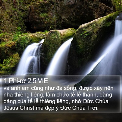 1 Phi-rơ 2:5 VIE Bible Verse Image