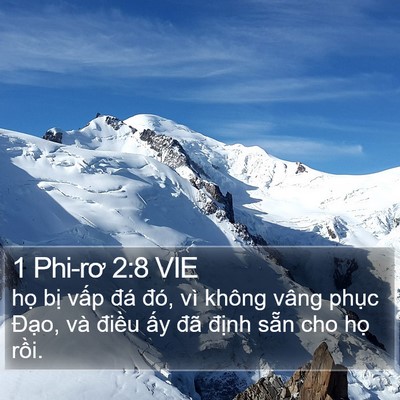 1 Phi-rơ 2:8 VIE Bible Verse Image