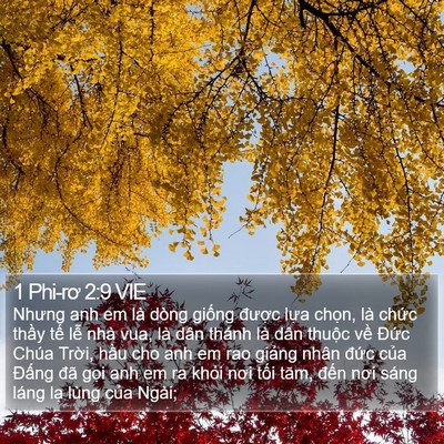 1 Phi-rơ 2:9 VIE Bible Verse Image