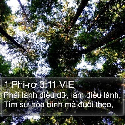 1 Phi-rơ 3:11 VIE Bible Verse Image