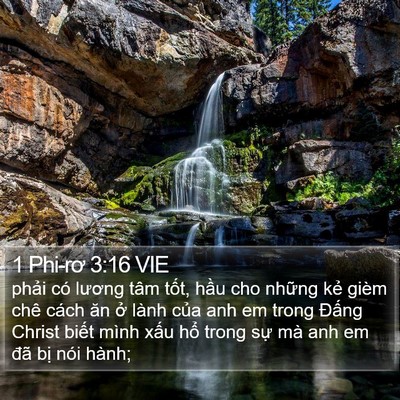 1 Phi-rơ 3:16 VIE Bible Verse Image