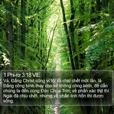 1 Phi-rơ 3:18 VIE Bible Verse Image