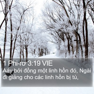 1 Phi-rơ 3:19 VIE Bible Verse Image