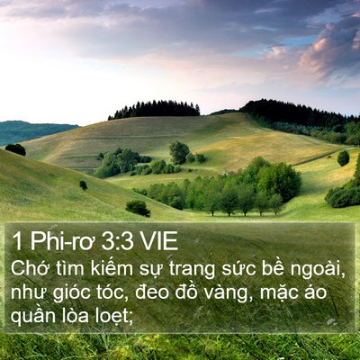 1 Phi-rơ 3:3 VIE Bible Verse Image