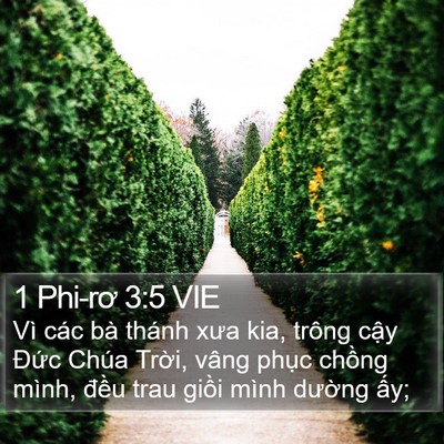 1 Phi-rơ 3:5 VIE Bible Verse Image