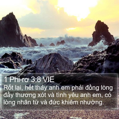 1 Phi-rơ 3:8 VIE Bible Verse Image