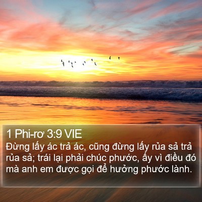 1 Phi-rơ 3:9 VIE Bible Verse Image