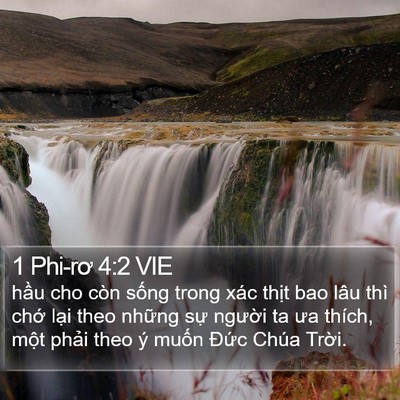 1 Phi-rơ 4:2 VIE Bible Verse Image