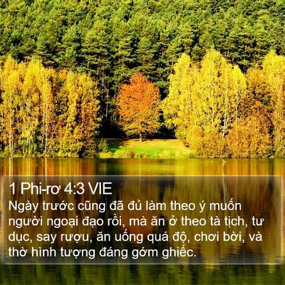1 Phi-rơ 4:3 VIE Bible Verse Image